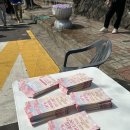 대륜동-2 | 대륜동 벚꽃이 오나 봄 서귀포 벚꽃 축제 후기