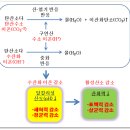 현대종합세탁 | 유튜브 세탁 정보 콘텐츠의 과학적 검증 및 비판적 분석