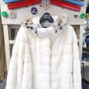 강남세탁 이미지