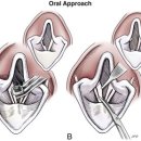 논산동물병원 이미지