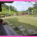 아르보르펜션 이미지