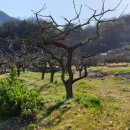 창원 최윤덕 유허지 이미지