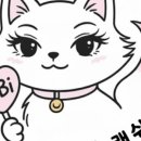 비비래쉬 - 시흥시 복지로 90 | 비비래쉬