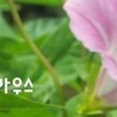 엉클파닭 이미지