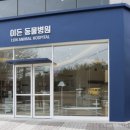 큐동물병원 네이버블로그