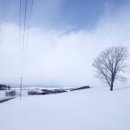 비에이 카카오 검색결과