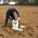 강화남부농협 양도지점 이미지