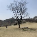 영인산자연휴양림 이미지