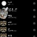 겟빳소 | 평창 주민