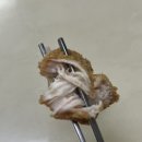 치박스 이미지
