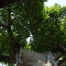 청샘가 | 전남 나주 가볼만한 곳 베스트 6::나주읍성, 완사천, 영산포등대, 홍어거리, 빛가람전망대, 산림자원연구소