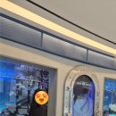 아쿠아플라넷 광교 | [아이와 가볼만한곳] 주말에 다녀온 광교 아쿠아플라넷 솔직 후기! (인어공주 공연, 시설, 규모 총정리)