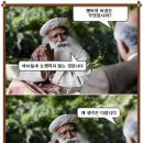 오송의 밤 이미지