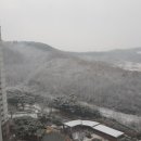 경복궁 행정사사무소 이미지