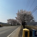 백원초교 | [도보 국토종단 종주 철원-통영]13번째… 걷기만 했던 것일까? 문경시청~공갈못~상주시청