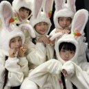 강남토끼 이미지