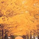 내가 더 이미지