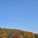파란꿈유치원 | 서울 단풍명소 북서울꿈의숲 실시간 단풍 꿈의 숲 단풍문화축제 일정
