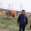 영수한우농장 이미지