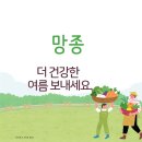 제 68회 현충일/망종 이미지