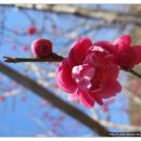 삼겹파티 이미지