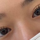 더렛빈 이미지