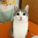 나홀로민박 이미지