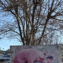 원주굽이길 9코스 스무산둘레길 이미지