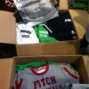 공룡코딱지 이미지