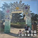 [공지] 정읍 솔숲 구절초 지방정원 꽃축제, 가을에 꼭 가볼만한 전북 슬로투어