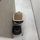 VIP세탁 | 포항 호미곶 오션뷰 풀빌라펜션 제주인포항 VIP룸 후기(내돈내산)