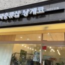 게코스팟 | 대전 파충류샵 도안동 낭게코, 크레스티드게코 보러 다녀온 후기