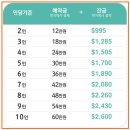 스피드 카써비스 | 나트랑 판랑 사막부터 시작한 나트랑 여행 3박 5일 후기