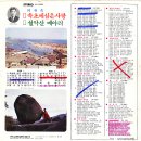 메아리속초