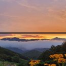 인제공인중개사사무소 이미지