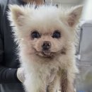 내수3리경로당 이미지