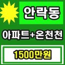 더월마트 이미지