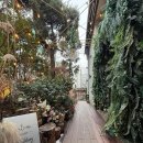 토브서브 | 강남 하우스웨딩 '토브헤세드' 도심 속 정원의 단독건물 결혼식장 촬영 (흔지스냅)