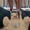 주인테이블 이미지