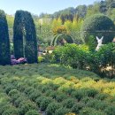 피나클랜드 이미지