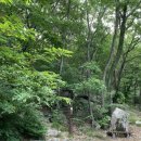 경남 김해 신어산 최단코스 | 영구암 주차장 출발 ⛰️🌿🔥