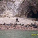 새들의천국 이미지