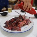 오징어이야기 이미지