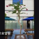 서창근린공원 | [인천 남동구 요양원/추천/후기/가격] 효은요양원 쾌적한 시설과 신뢰 중심 운영