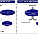 (주)사노피-아벤티스코리아 이미지