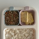 핑크브로콜리 | 밥태기온 12개월 아기 이유식 3끼 식단 기록 후기 이유식 스케쥴