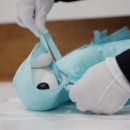 나의 단짝 반려동물 이미지