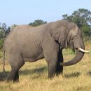 성인생활영어 이미지