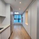 블루마레 이미지