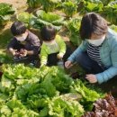 광명농장2 이미지